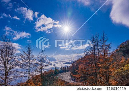 (Shizuoka Prefecture) Mount Fuji Fujinomiya Trailhead Fifth Station Parking Lot and the Sea of Clouds Below 116850619
