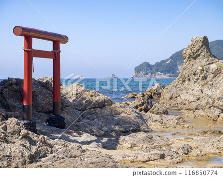 Red torii gate and the Sea of Japan, Sasagawa Nagare, Benten Rock, Murakami City, Niigata Prefecture 116850774