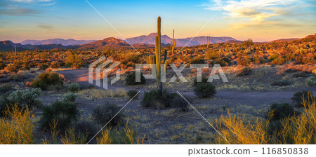 Lost Dutchman State Park in Arizona at sunset 116850838