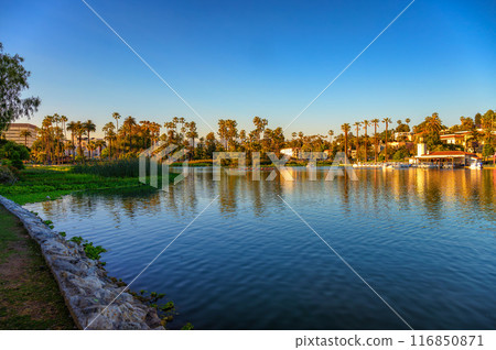 Echo Park Lake with pedal boats and palm trees in Los Angeles, California Echo Park Lake with pedal boats and palm trees in Los Angeles, California 116850871