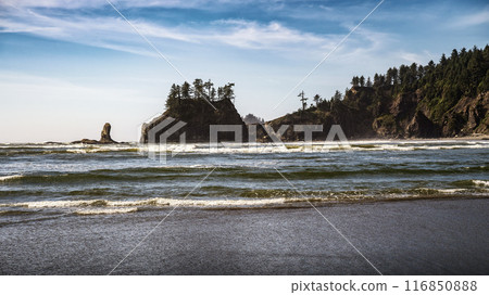 La Push Second Beach with sea stacks, waves, and forested cliffs, Washington La Push Second Beach with sea stacks, waves, and forested cliffs, Washington 116850888