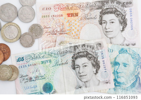 白色背景下的小舊世界貨幣系列英鎊 116851093