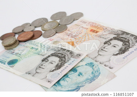 Photographed on a white background. A little old world money series. British pound. Photographed on a white background. A little old world money series. British pound. 116851107