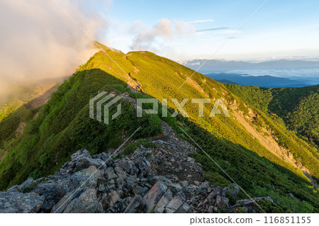 Trail from Kosenjogatake to Senjogatake Trail from Kosenjogatake to Senjogatake 116851155