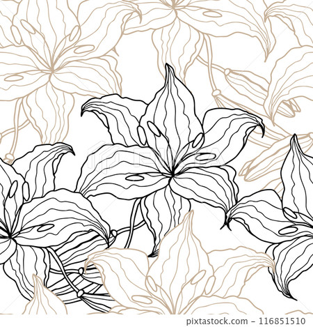 Lilly line art flower seamless pattern for design of fabric, scrapbook, wallpaper. Delicate hand drawn vector background 116851510