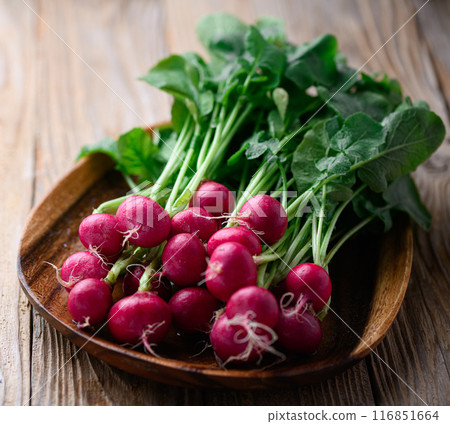 新鮮蘿蔔（白蘿蔔）舊板背景 116851664