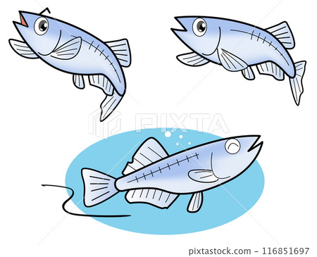 Medaka set 116851697