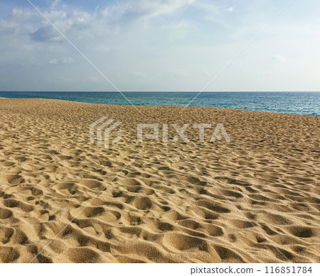 Sea background Sea background 116851784
