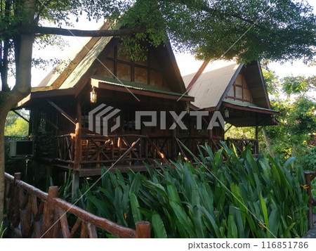 Rental bungalows Rental bungalows 116851786