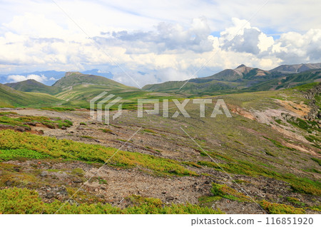 Summer Daisetsuzan: View from the Ohachidaira hiking trail: Mt. Kurodake, Mt. Keigetsu, Mt. Eboshi 116851920