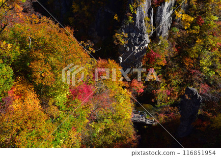 Autumn Naruko Gorge Autumn Naruko Gorge 116851954