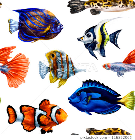 Seamless pattern with bright tropical colorful fish. Marine underwater life, travel, diving and snorkeling are exotic places. Illustrations for textiles, banners, wrapping paper, wallpaper Seamless pattern with bright tropical colorful fish. Marine underwater life, travel, diving and snorkeling are exotic places. Illustrations for textiles, banners, wrapping paper, wallpaper 116852065