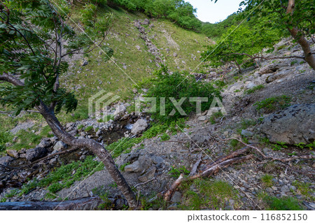 Hiking trail from Mt. Senjo to Senjo hut and Yabusawa hut Hiking trail from Mt. Senjo to Senjo hut and Yabusawa hut 116852150