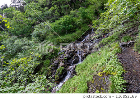 Hiking trail from Mt. Senjogatake to Kitazawa Pass and Choegoya hut Hiking trail from Mt. Senjogatake to Kitazawa Pass and Choegoya hut 116852169