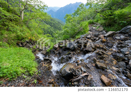 Hiking trail from Mt. Senjogatake to Kitazawa Pass and Choegoya hut Hiking trail from Mt. Senjogatake to Kitazawa Pass and Choegoya hut 116852170