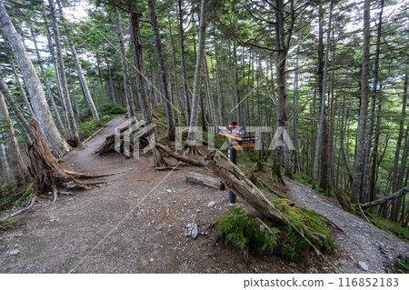 從千疊岳到北澤嶺/中央屋的登山路線 從千疊岳到北澤嶺/中央屋的登山路線 116852183