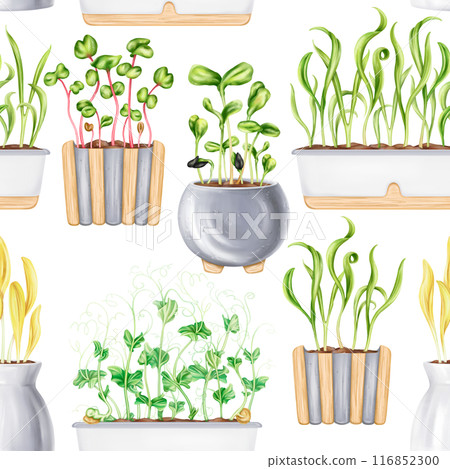A seamless pattern of potted houseplants. Seedlings with microgreens for healthy nutrition. A vegetable garden on the windowsill. The growth of micro-greenery at home. Digital isolated illustration 116852300