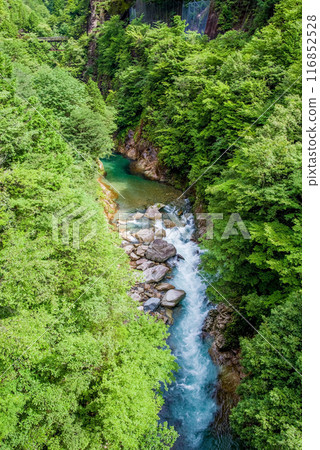 Kawaura Valley (Gifu Prefecture) 116852528