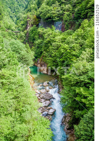 Kawaura Valley (Gifu Prefecture) Kawaura Valley (Gifu Prefecture) 116852529