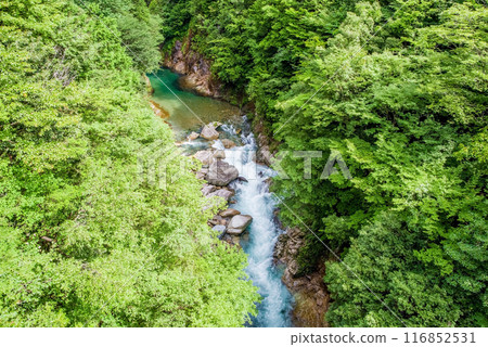 Kawaura Valley (Gifu Prefecture) Kawaura Valley (Gifu Prefecture) 116852531