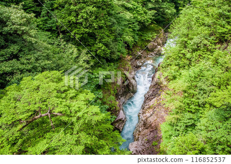 懸崖溪谷「河浦溪谷」（岐阜縣） 116852537