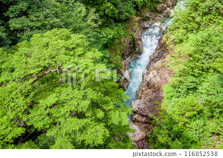 懸崖溪谷「河浦溪谷」（岐阜縣） 116852538