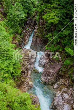 Kawaura Valley (Gifu Prefecture) Kawaura Valley (Gifu Prefecture) 116852543