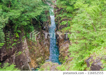 Kawaura Valley (Gifu Prefecture) Kawaura Valley (Gifu Prefecture) 116852555