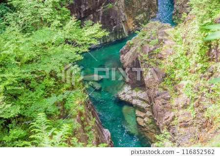 Kawaura Valley (Gifu Prefecture) 116852562