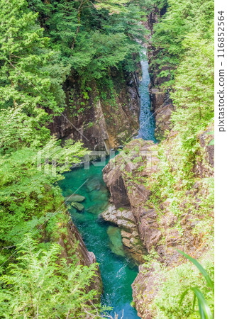 Kawaura Valley (Gifu Prefecture) Kawaura Valley (Gifu Prefecture) 116852564