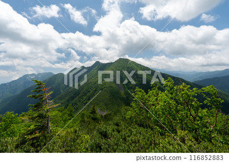 從北澤峠到貝駒岳的登山路線 從北澤峠到貝駒岳的登山路線 116852883