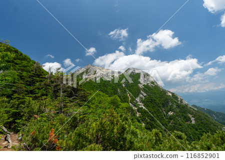 Hiking trail from Kitazawa Pass to Mt. Kaikoma 116852901