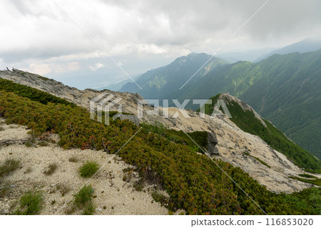 從北澤峠到貝駒岳的登山路線 116853020