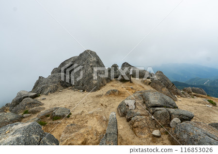Hiking trail from Kitazawa Pass to Mt. Kaikoma 116853026