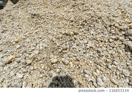 Hiking trail from Kitazawa Pass to Mt. Kaikoma 116853134