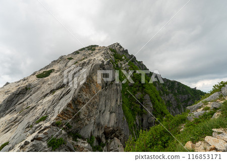 Hiking trail from Kitazawa Pass to Mt. Kaikoma 116853171