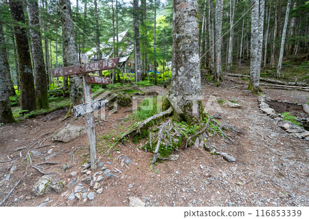 Hiking trail from Kitazawa Pass to Mt. Kaikoma 116853339