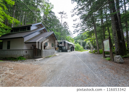 Hiking trail from Kitazawa Pass to Mt. Kaikoma 116853342