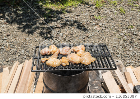 [在汽車露營地獨自露營在網上烤白內臟] 116853397