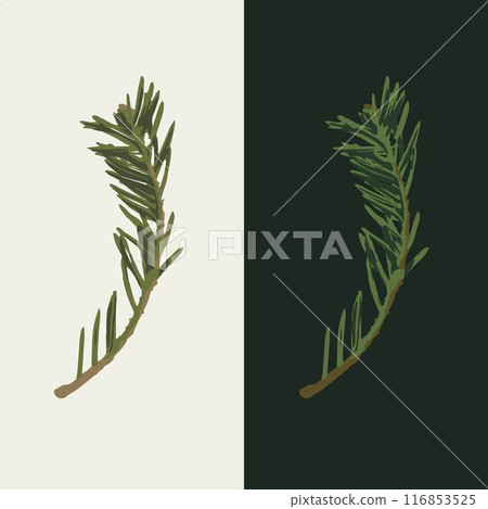 Spruce tree small branch on white, dark background. Fir twig with green needles. Image trace, cleaned and simplified illustration. Realistic style. Not AI. Spruce tree small branch on white, dark background. Fir twig with green needles. Image trace, cleaned and simplified illustration. Realistic style. Not AI. 116853525