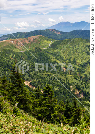 夏季的志賀高原－橫手山頂的風景 116853636