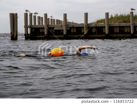 A lone swimmer with a bright orange buoy attached to their waist A lone swimmer with a bright orange buoy attached to their waist 116853722