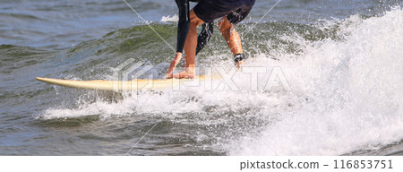 Legs and arms of a surfer riding a wave squatting for balance Legs and arms of a surfer riding a wave squatting for balance 116853751
