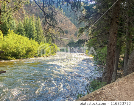 Looking down stream at cleer creek river rapids in Colorado 116853753