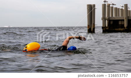 A lone swimmer with a bright orange buoy attached to their waist A lone swimmer with a bright orange buoy attached to their waist 116853757