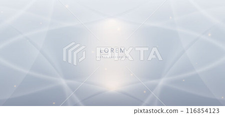 Abstract white curve lines on grey background. with lighting effect sparkle. Frame circle for product design. 116854123