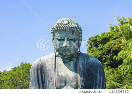 Kamakura Great Buddha Kamakura Great Buddha 116854315
