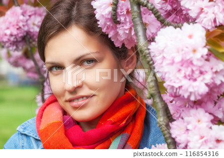Portrait of young beautiful woman Portrait of young beautiful woman 116854316