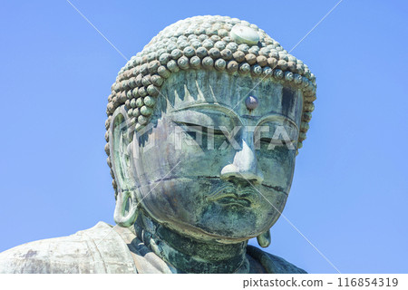 鎌倉大佛 116854319
