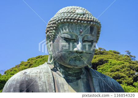 Kamakura Great Buddha Kamakura Great Buddha 116854320
